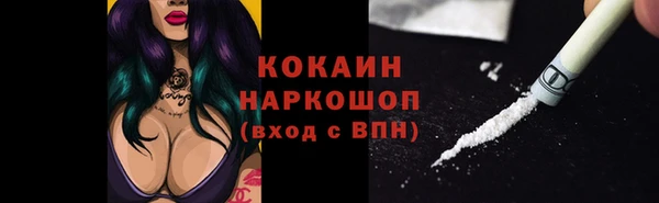 МДПВ Лагань