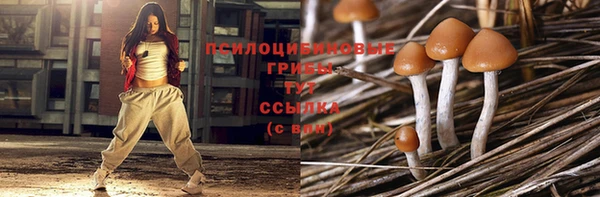 дурь Кукмор