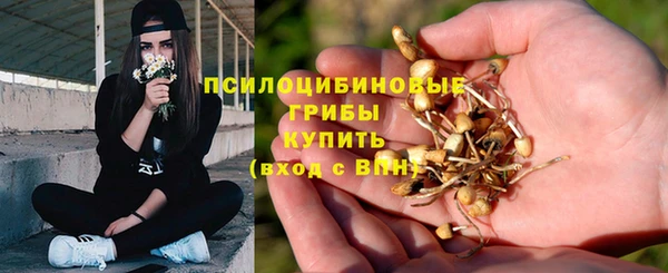 дурь Кукмор