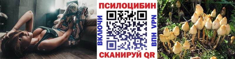 Купить закладки  Староминская  Галлюциногенные грибы Magic Shrooms 